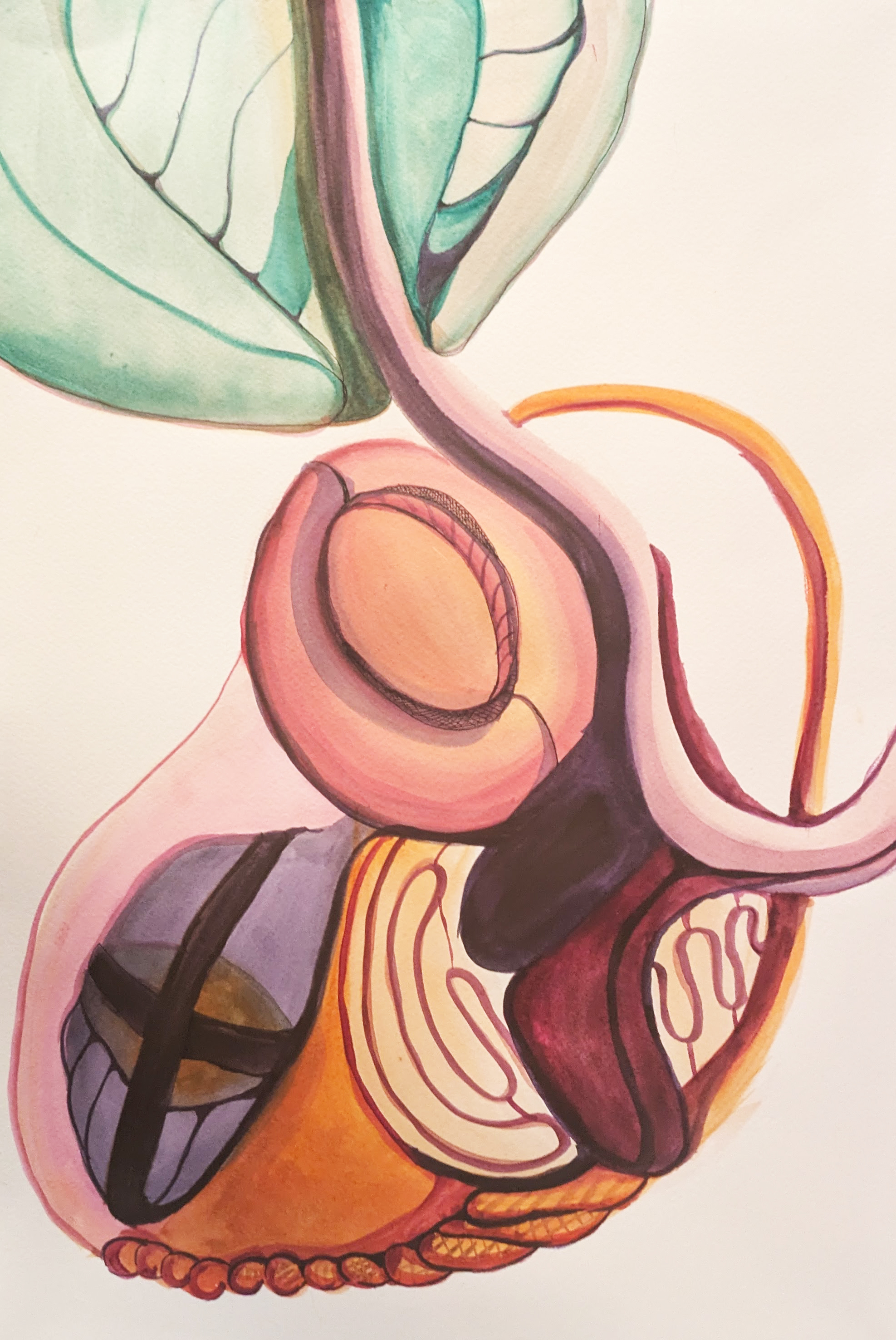 Like you knew I would